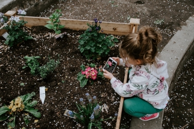 Waarom dit hét moment is om thuis een moestuintje te beginnen